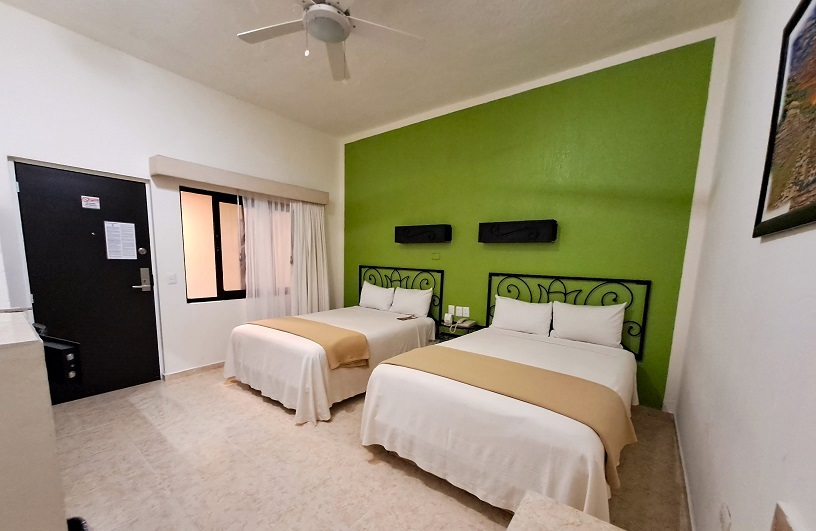 MAYA TULIPANES EXPRESS